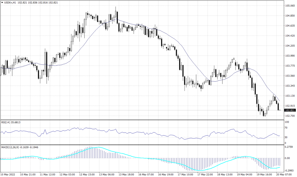 US Dollar Index Graph candle for 20 May 2022