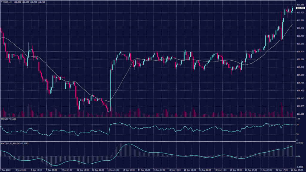 US dollar index chart shows support at 109.90 and 110.50 confirmed by the readings of the moving averages and MACD.